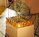 collection box