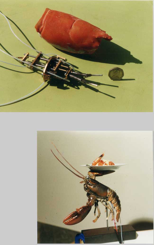 lobster mechanism